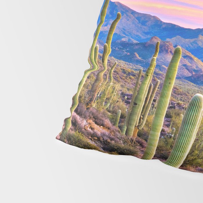 Arizona South West Sunset Cactus Desert Landscape Pillow Sham Gallery Image 4