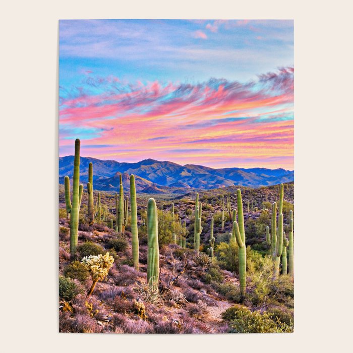 Arizona South West Sunset Cactus Desert Landscape Poster Gallery Image 1