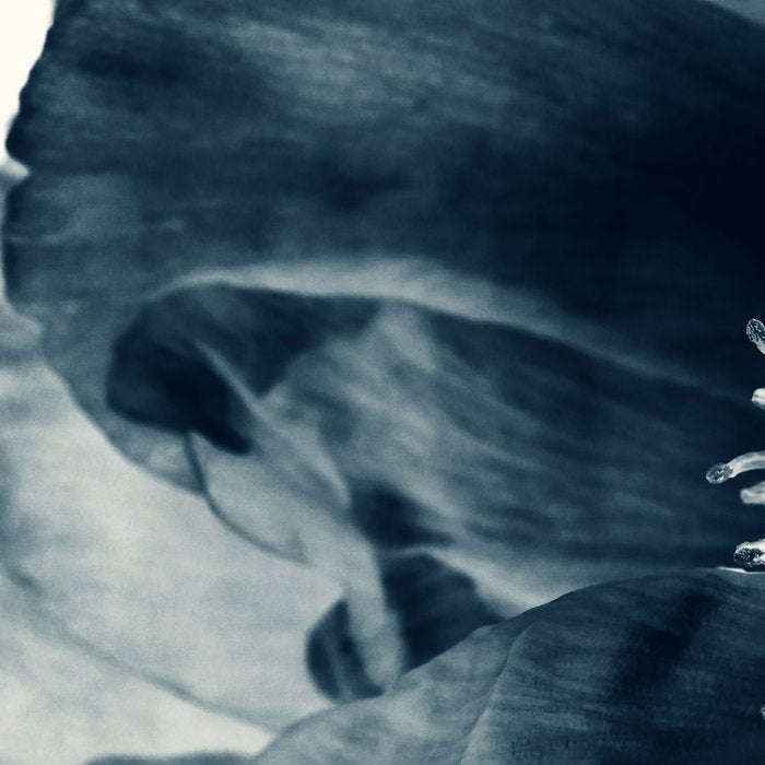 Blue Paeonia #6 Coffee Mug Gallery Image 2
