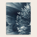 Blue Paeonia #6 Notebook Gallery Image 4