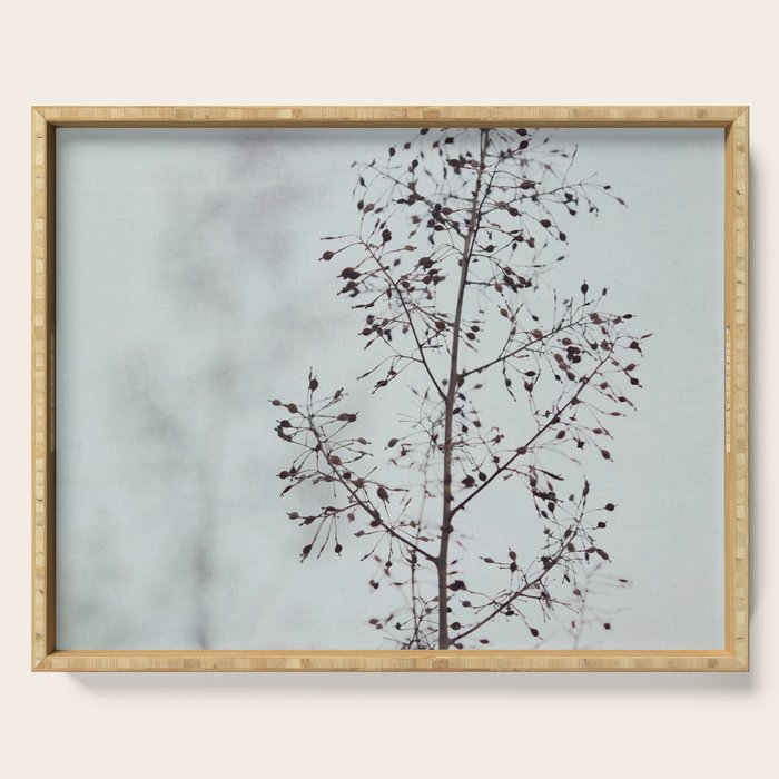Breezy - fresh botanical floral photograph Serving Tray Gallery Image 1