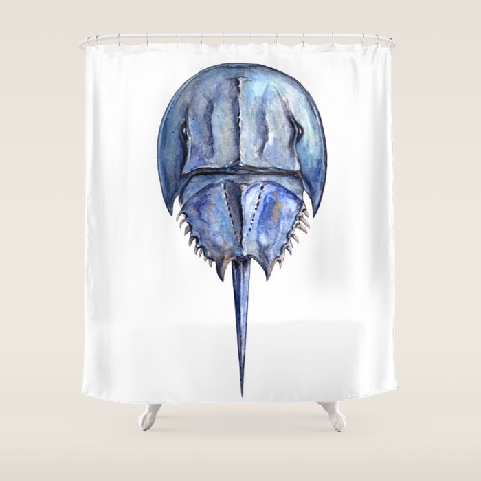 Blue Horseshoe Crab Shower Curtain Gallery Image 1