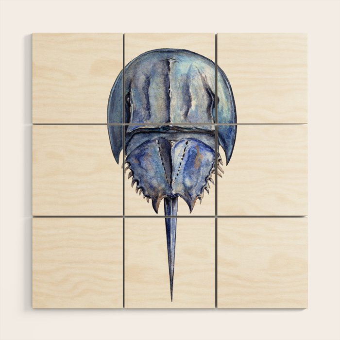 Blue Horseshoe Crab Wood Wall Art Gallery Image 1