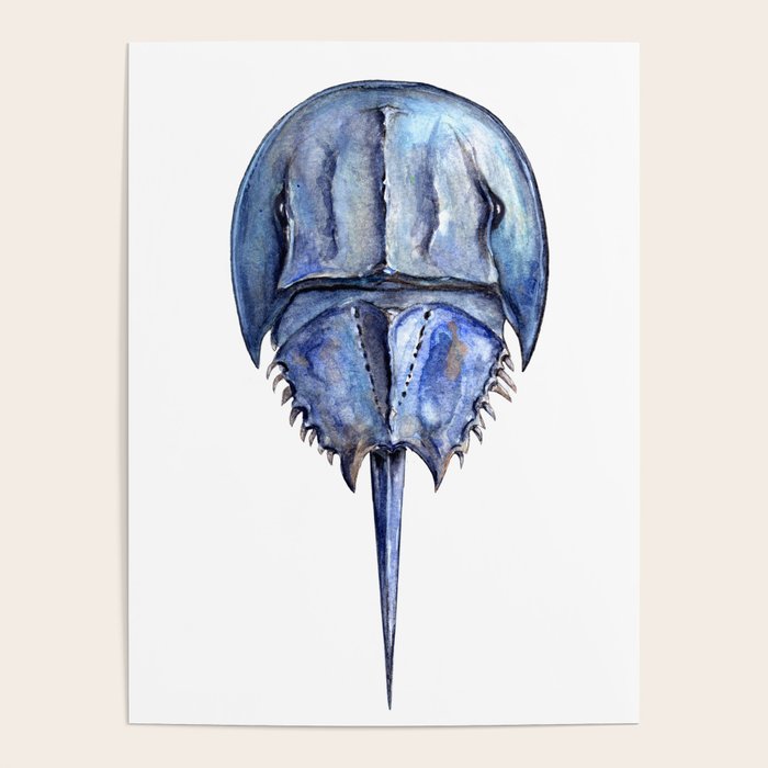 Blue Horseshoe Crab Poster Gallery Image 1