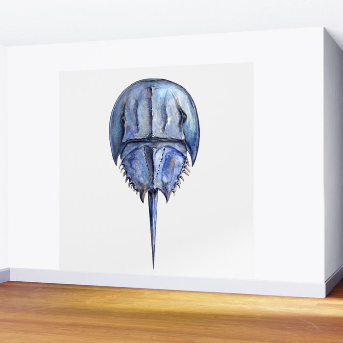 Blue Horseshoe Crab Wall Mural Gallery Image 2