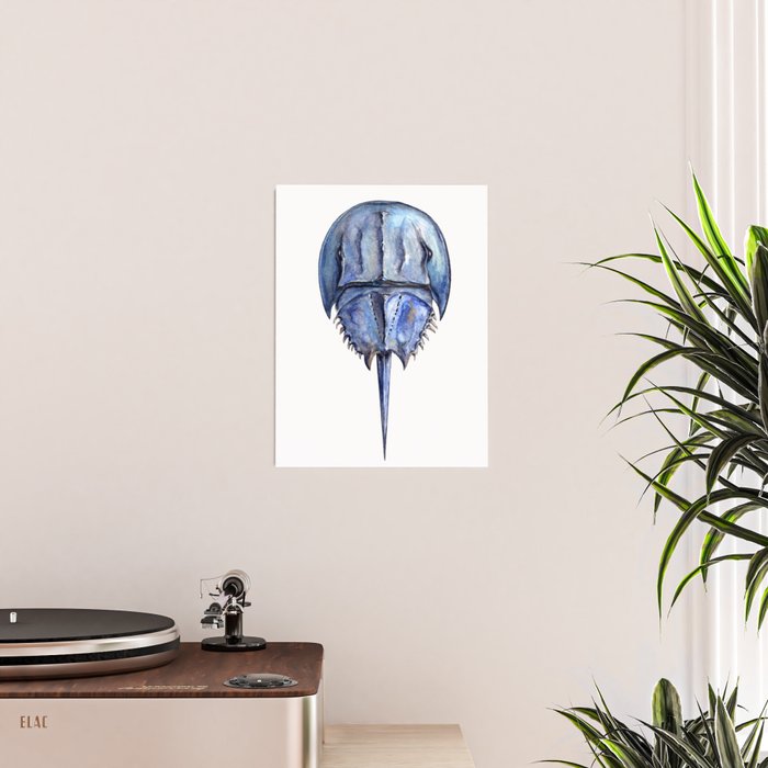 Blue Horseshoe Crab Poster Gallery Image 2