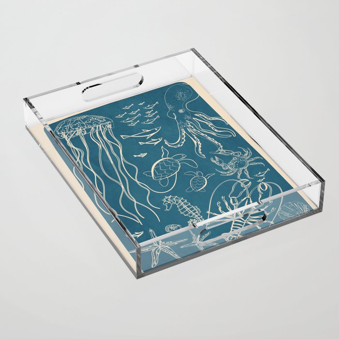 Minimal Sea Life 3 Acrylic Tray Gallery Image 1
