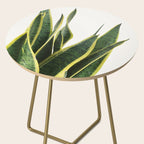 Sansevieria Side Table Gallery Image 2