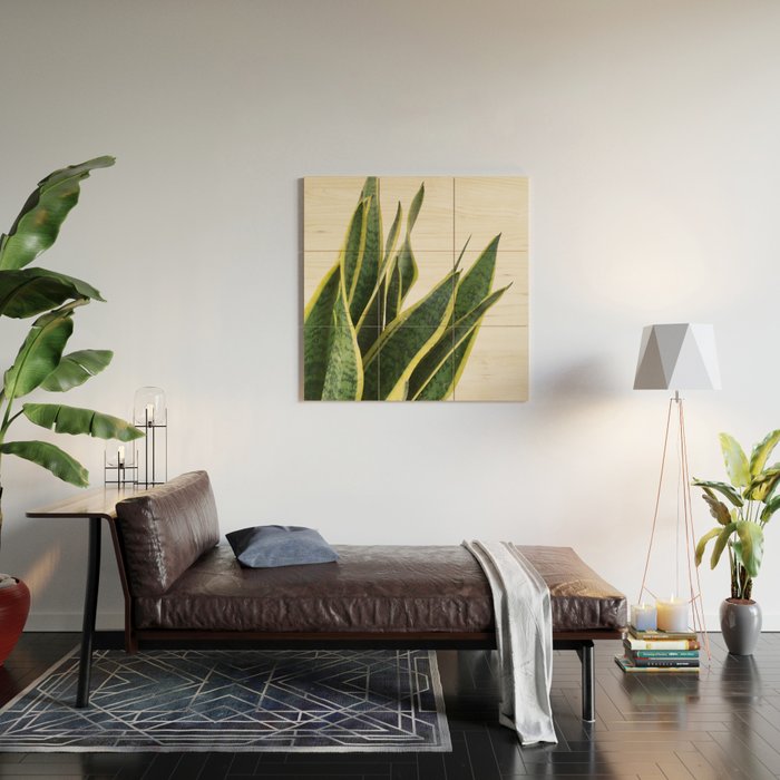 Sansevieria Wood Wall Art Gallery Image 2