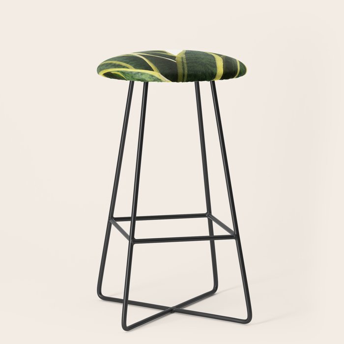 Sansevieria Stool Gallery Image 1