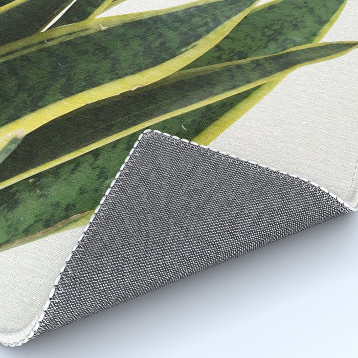 Sansevieria Rug Gallery Image 4