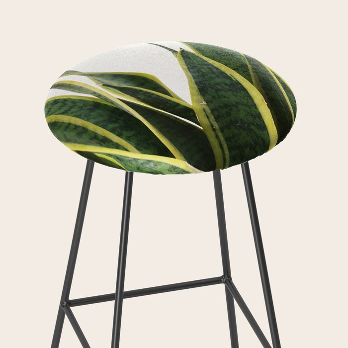 Sansevieria Stool Gallery Image 2