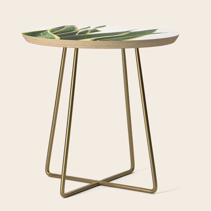 Sansevieria Side Table Gallery Image 1