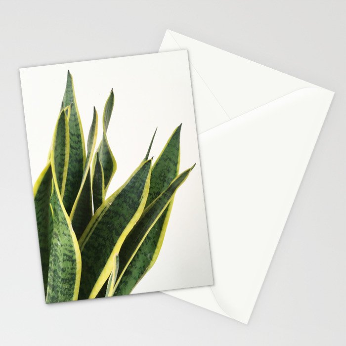 Sansevieria Stationery Card Gallery Image 2