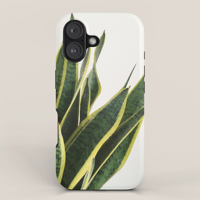 Sansevieria iPhone Case Gallery Image 1