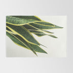 Sansevieria Rug Gallery Image 2
