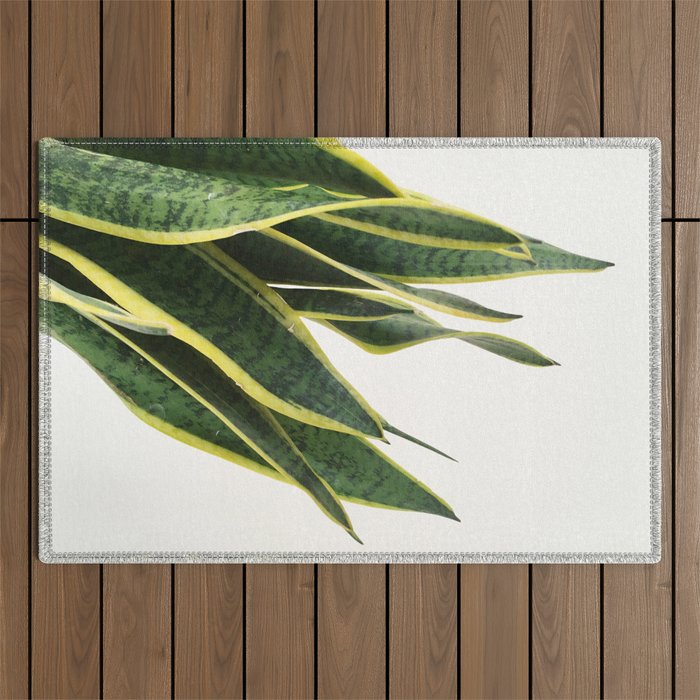 Sansevieria Outdoor Rug Gallery Image 1