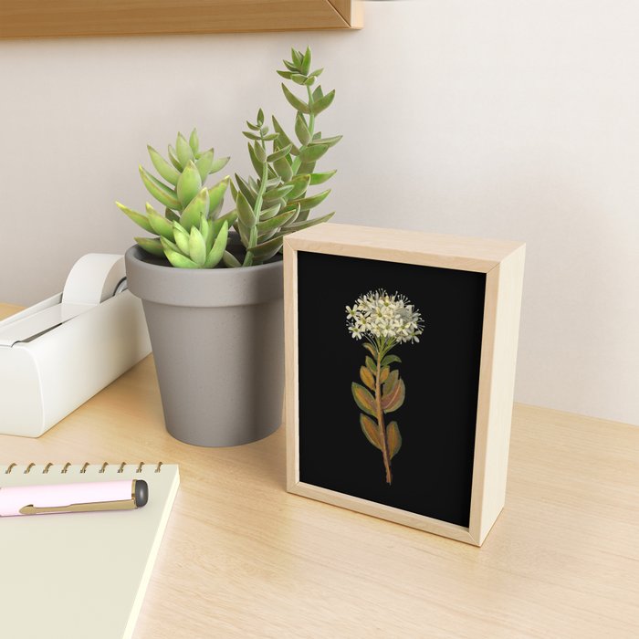 Ledum Latifolium by Mary Delany Paper Collage Floral Flower Botanical Paper Mosaic Vintage Scientific Plant Anatomy  Mini Art Print Gallery Image 2