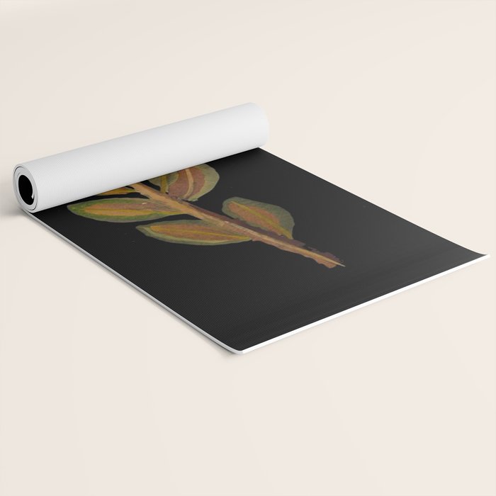 Ledum Latifolium by Mary Delany Paper Collage Floral Flower Botanical Paper Mosaic Vintage Scientific Plant Anatomy  Yoga Mat Gallery Image 2