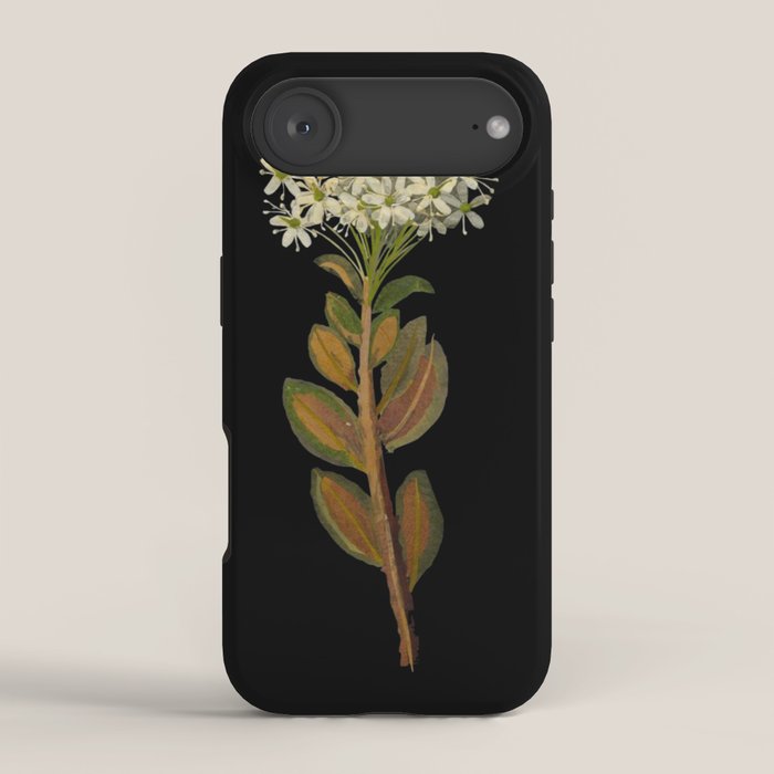 Ledum Latifolium by Mary Delany Paper Collage Floral Flower Botanical Paper Mosaic Vintage Scientific Plant Anatomy  iPhone Case Gallery Image 2
