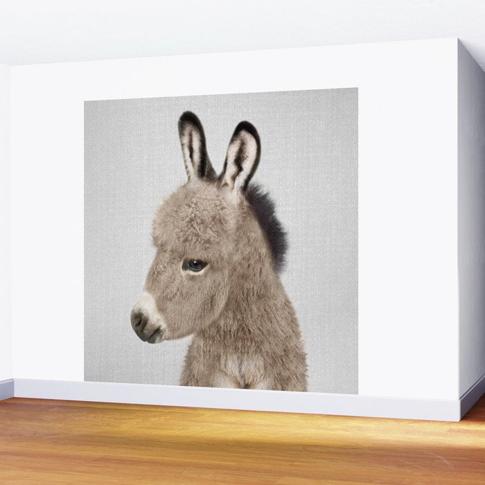 Donkey - Colorful Wall Mural Gallery Image 2