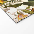 Beautiful Forest IV Welcome Mat Gallery Image 2