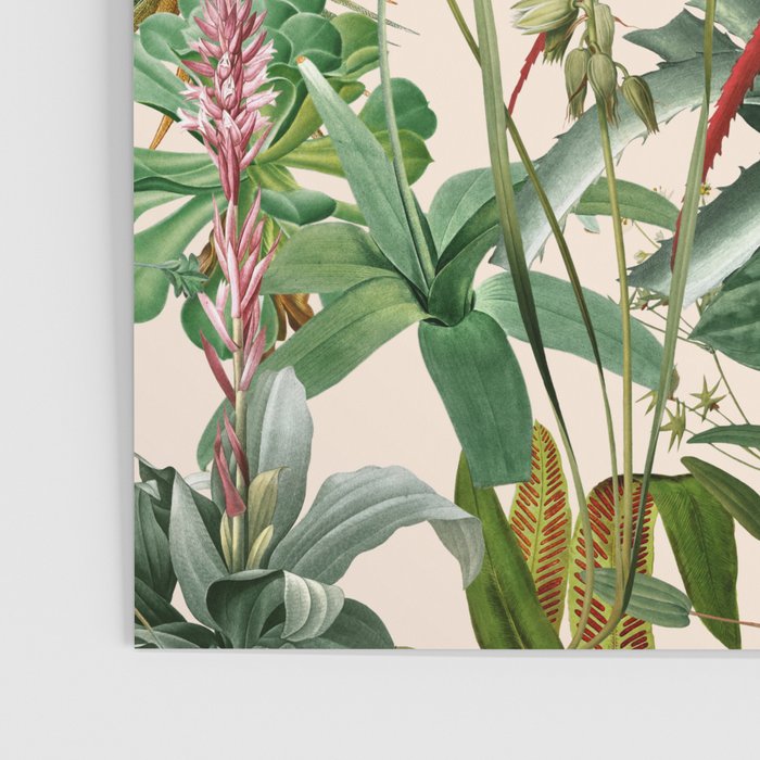 Tropical Flora II Poster Gallery Image 3