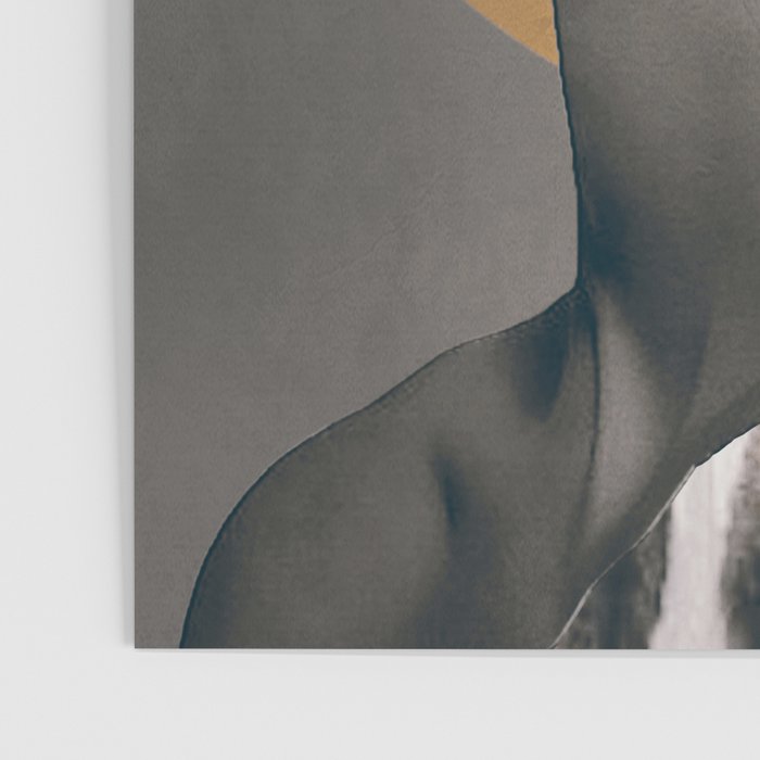 African Beauty Poster Gallery Image 3