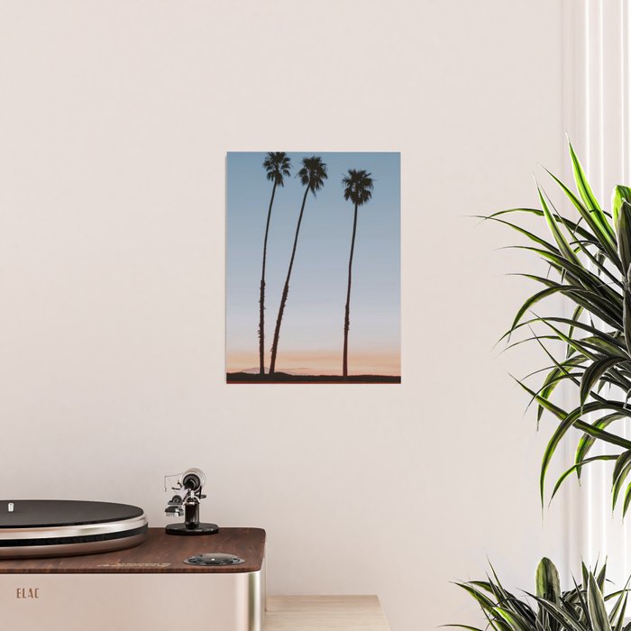 three palm trees iv / santa barbara, california Poster Gallery Image 2