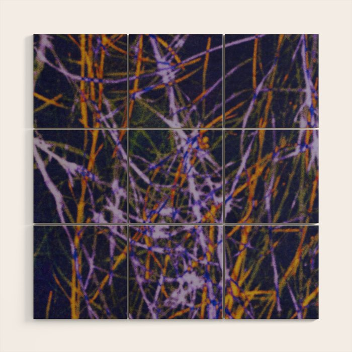 Hypernature 1 Wood Wall Art Gallery Image 1