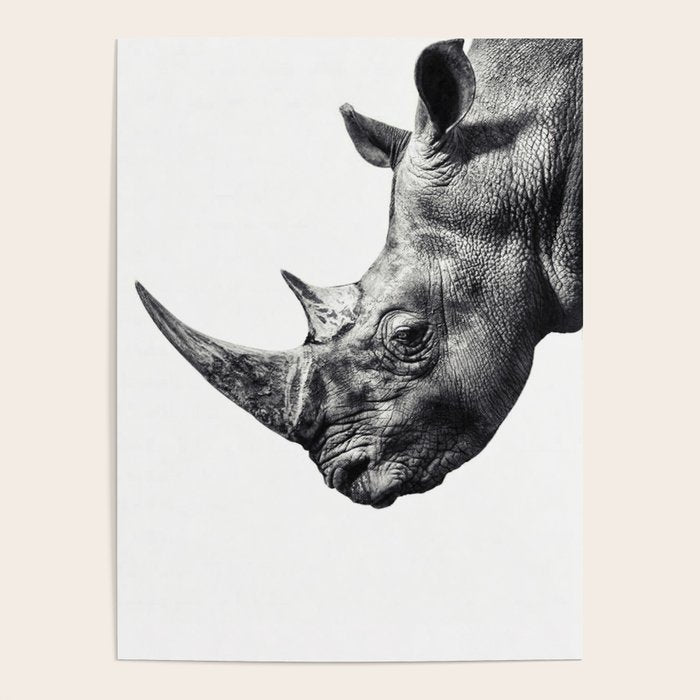 Rhino ... Poster Gallery Image 1