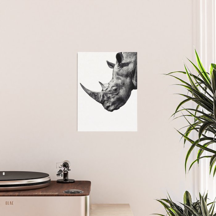 Rhino ... Poster Gallery Image 2