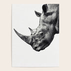 Rhino ... Poster Gallery Image 4