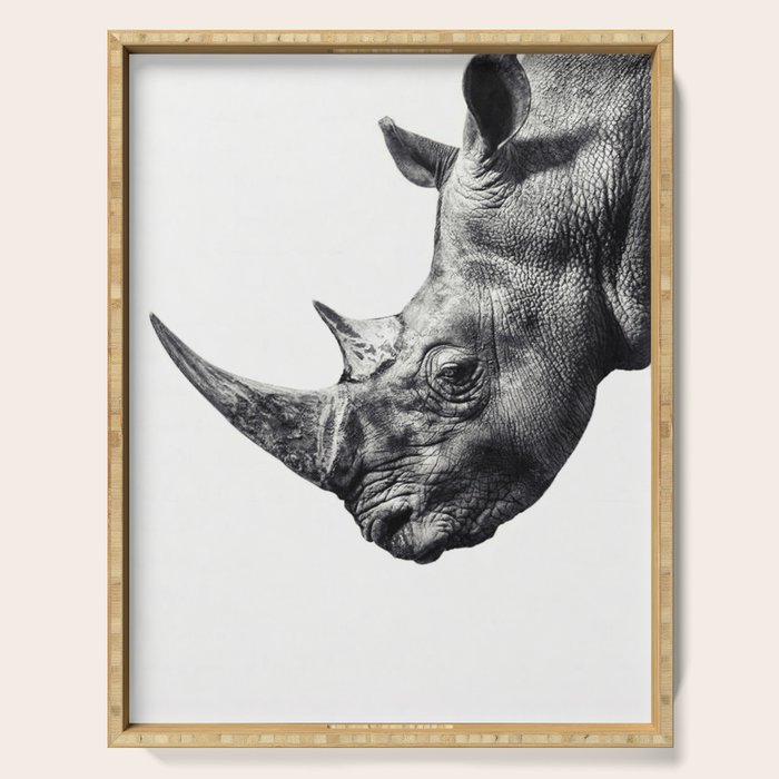 Rhino ... Serving Tray Gallery Image 1