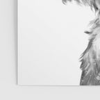 Bubble Gum Highland Cow Black and White Poster Gallery Image 3