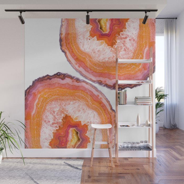 Carnelian Agate Slices Wall Mural Gallery Image 1