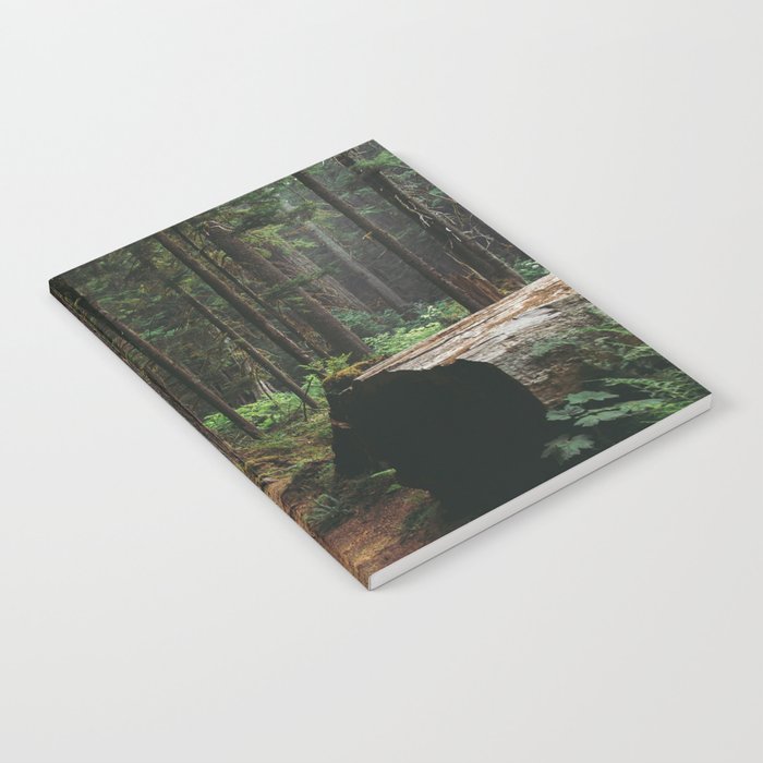 A Walk in the Woods Notebook Gallery Image 1