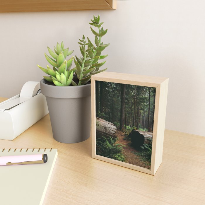 A Walk in the Woods Mini Art Print Gallery Image 2