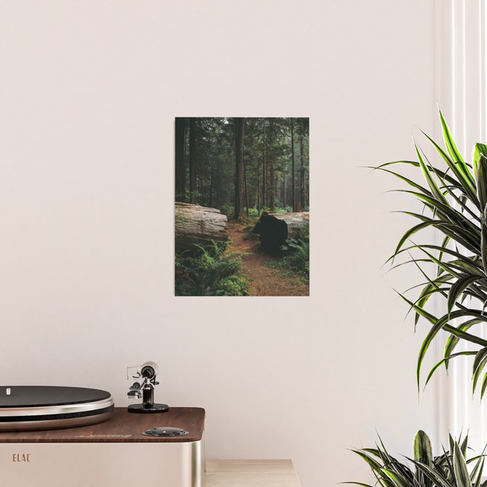A Walk in the Woods Poster Gallery Image 2