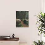 A Walk in the Woods Poster Gallery Image 2