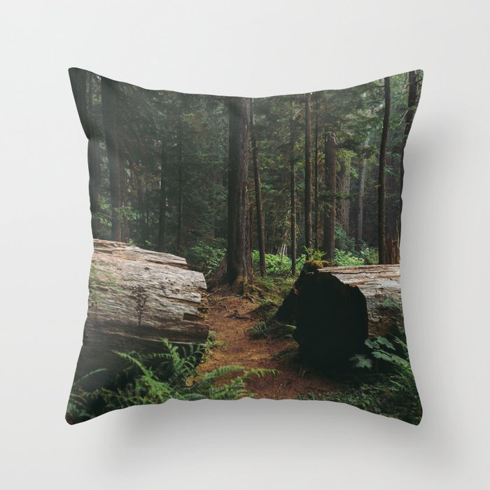 A Walk in the Woods Throw Pillow Gallery Image 1