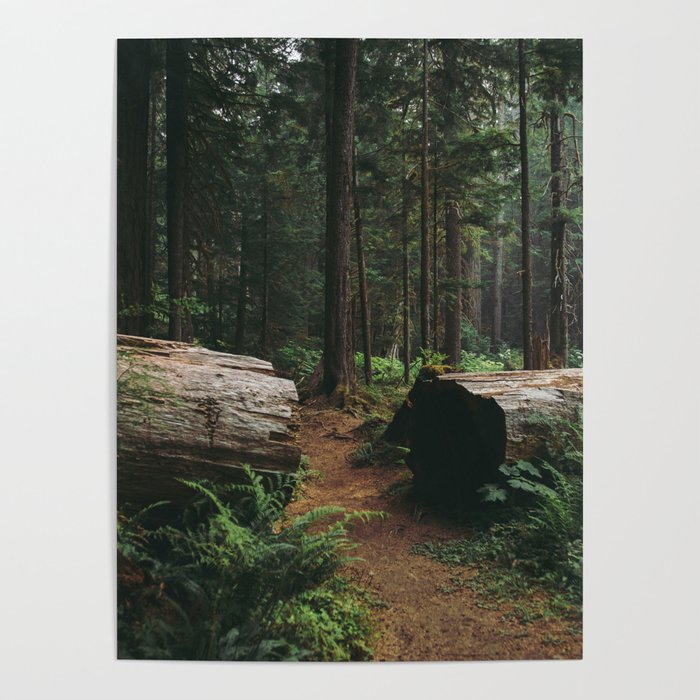 A Walk in the Woods Poster Gallery Image 4