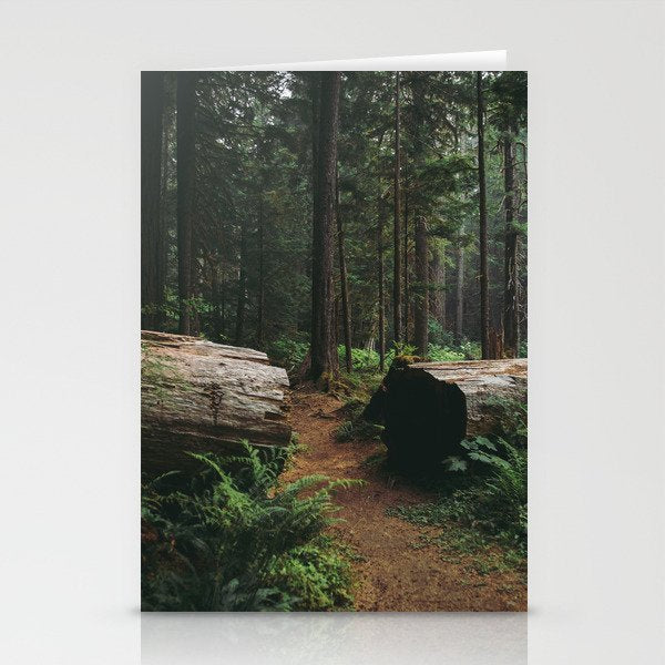 A Walk in the Woods Stationery Card Gallery Image 2