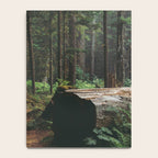 A Walk in the Woods Notebook Gallery Image 4