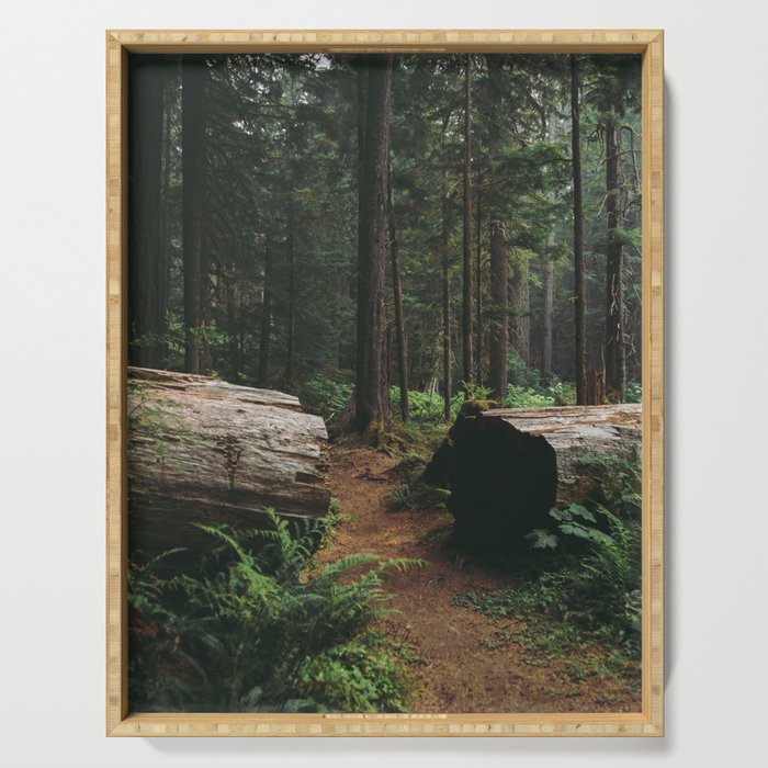A Walk in the Woods Serving Tray Gallery Image 1