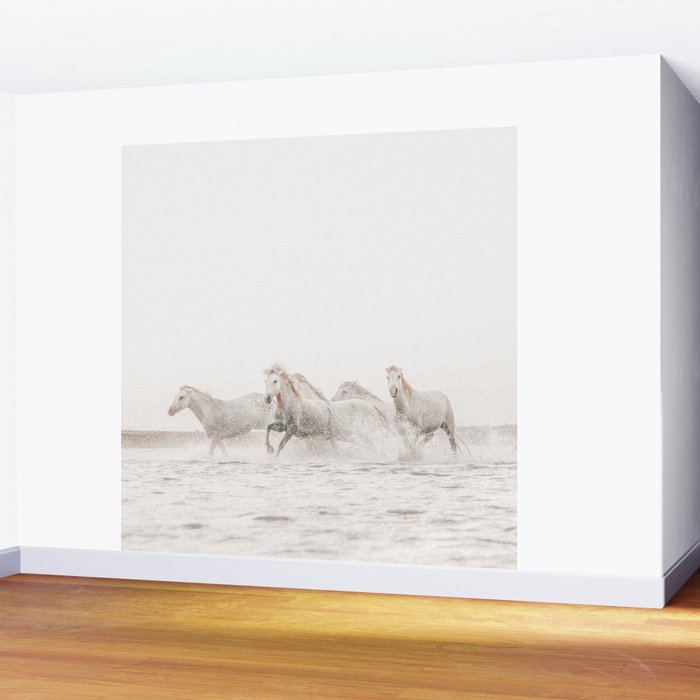 Wild Horses Wall Mural Gallery Image 2