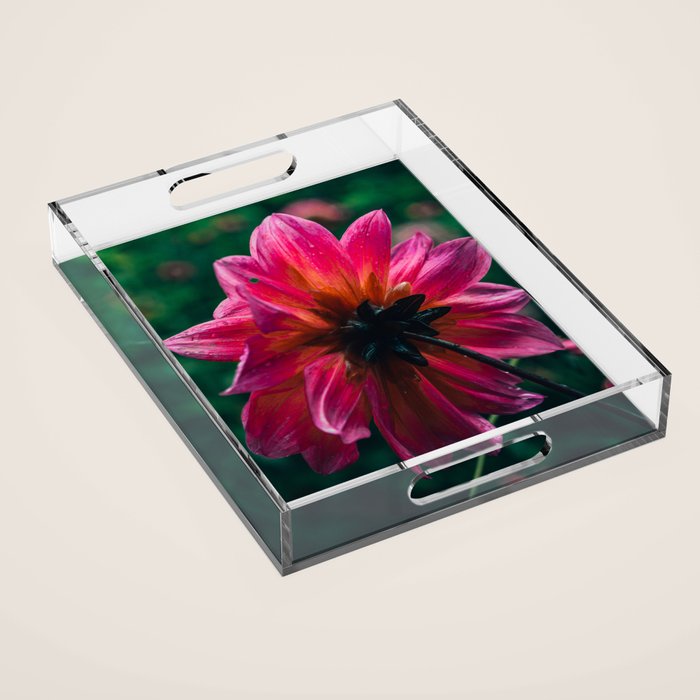 She Didn't Know Her Beauty Acrylic Tray Gallery Image 1