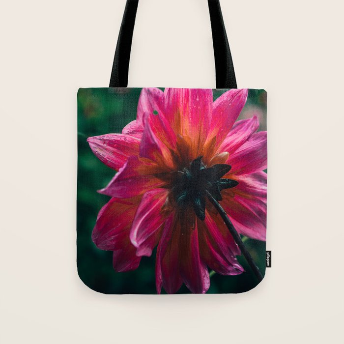 She Didn't Know Her Beauty Tote Bag Gallery Image 1