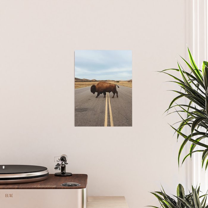 Bison Crossing Road Poster Gallery Image 2