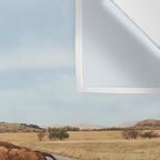 Bison Crossing Road Wall Tapestry Gallery Image 3